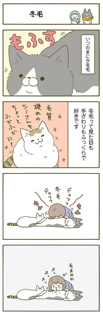 いつのまにか冬毛