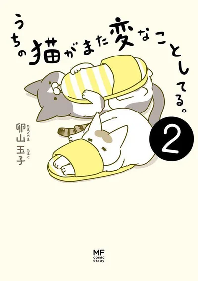 ふかふかな2匹と暮らす、あたたかい日々。『うちの猫がまた変なことしてる。2』