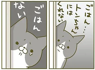 ごはん…トンちゃんにはくれない