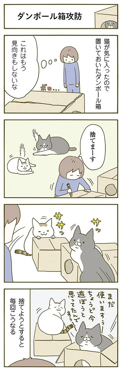 これはもう見向きもしないな