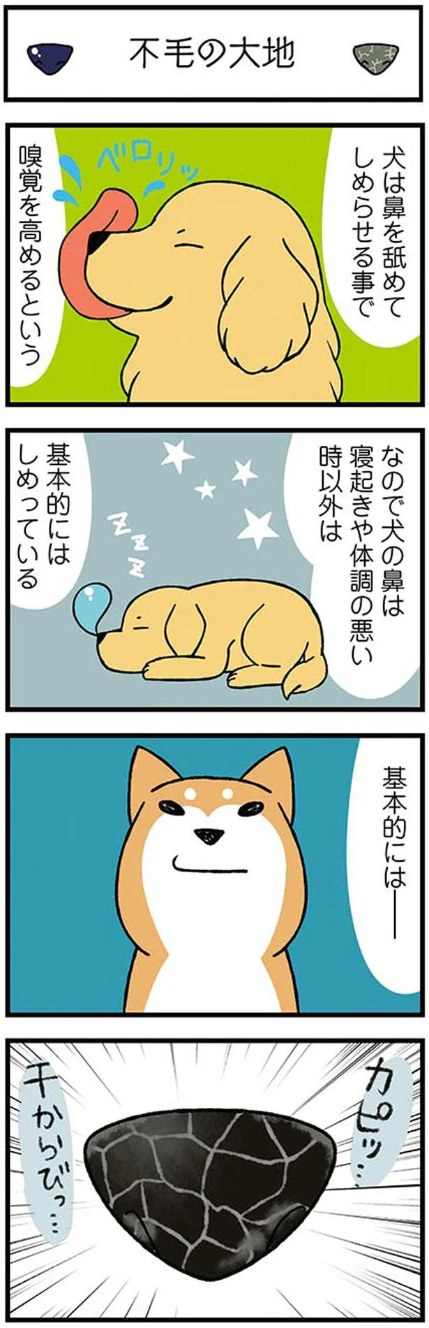 基本的には…しめっている…