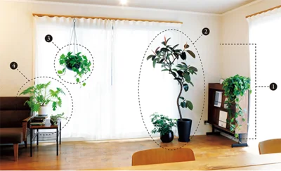 気になる植物を見つけたら、部屋の環境や窓の方角を店の人に伝えて適した環境か確認を。