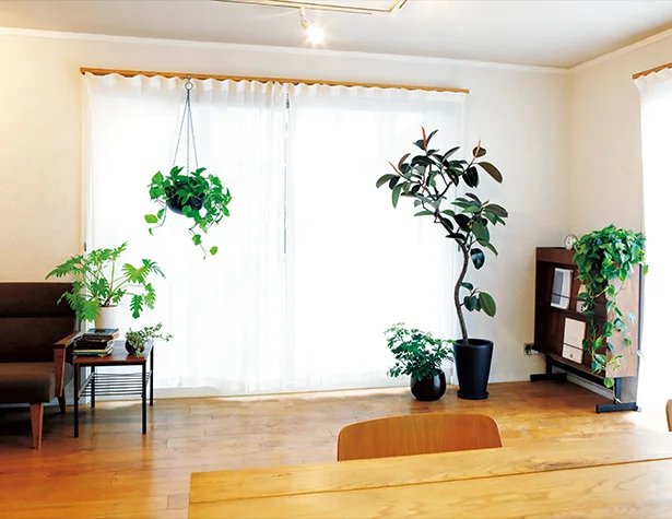 観葉植物を購入する際に気をつけること&複数個の植物を部屋に置く場合のポイントとは？