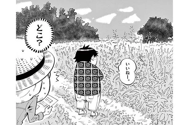 畑じゃなくて荒地…?