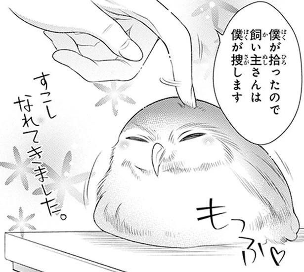 偶然見つけた迷子のフクロウ。義兄に頼らず、飼い主を探し出せる!?／こはる日和とアニマルボイス2（4）