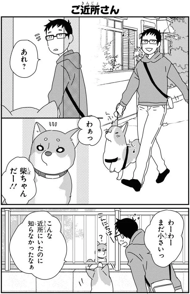 コーギーには冷たいけど飼い主さんは好き 散歩中に出会った小さな柴犬 あしょんでよッ うちの犬ログ 9 1 レタスクラブ
