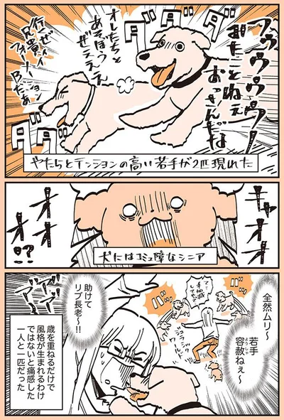 全然ムリ～　若手容赦ねぇ～