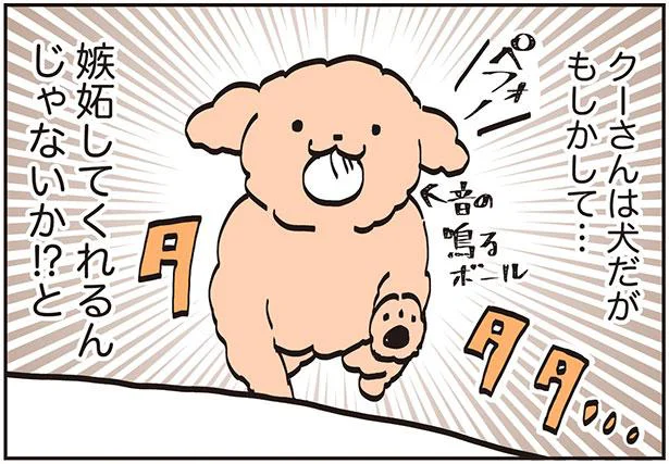 嫉妬するトイプーが見てみたい！猫カフェ帰りに私が近づくと…？／うちのトイプーがアイドルすぎる。2（4）