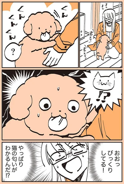 やっぱり猫の匂いがわかるんだ！？