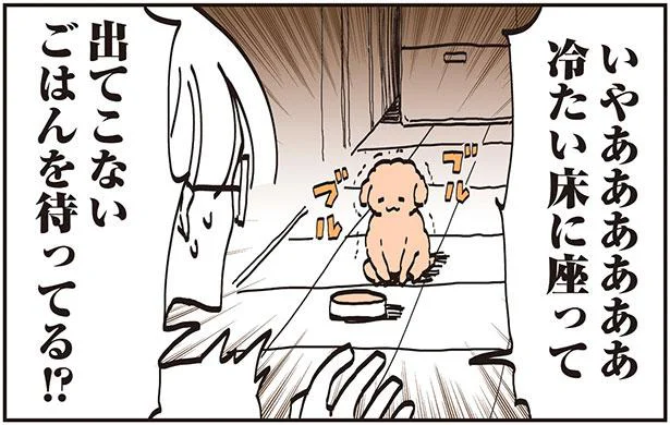 冷たい床に座って、出てこないごはんを待ってる!? ダウン中の私への気遣いが切なすぎて／うちのトイプーがアイドルすぎる。2（5）