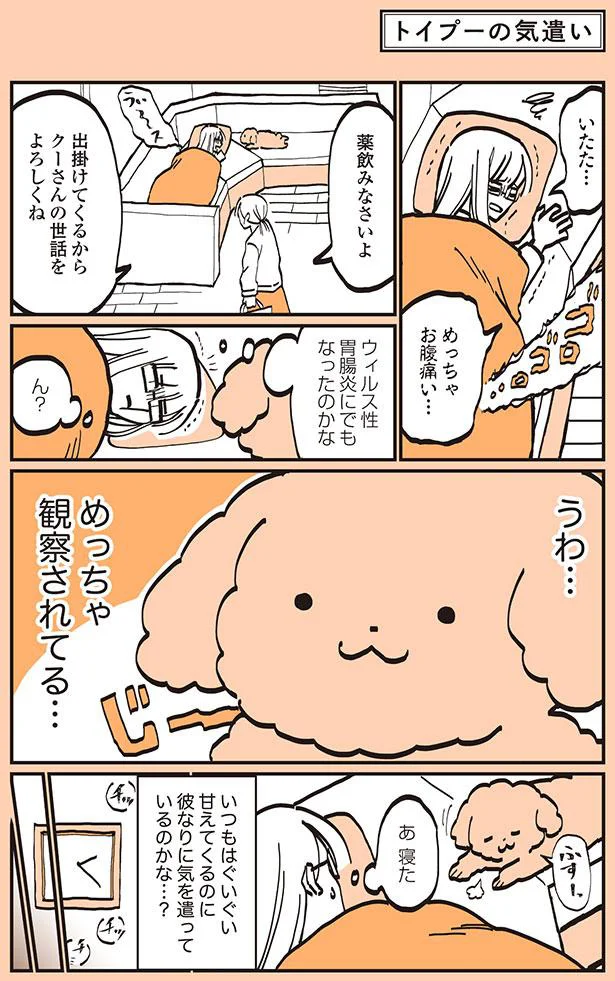 うわ…めっちゃ観察されてる…