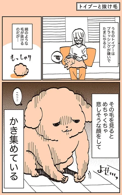 めちゃくちゃ悲しそうな顔をして　かき集めている