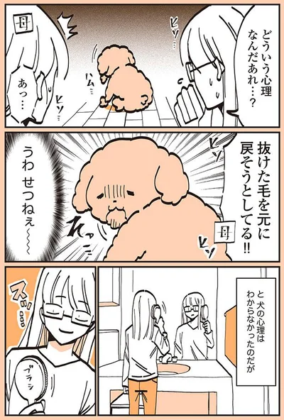 どういう心理なんだあれ…？