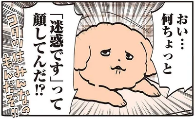 何ちょっと「迷惑です」って顔してんだ！？