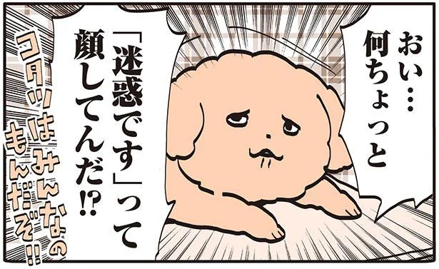 コタツはみんなのもの！寒い冬の朝にコタツを先取りするトイプーと私の攻防／うちのトイプーがアイドルすぎる。2（8）