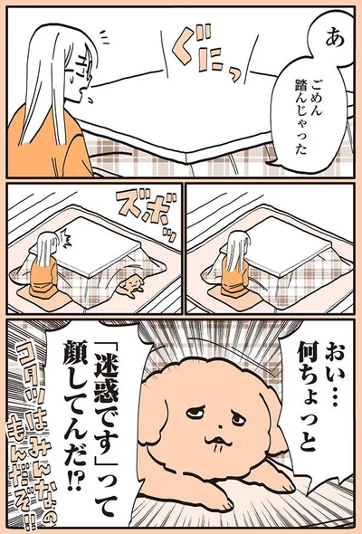 あ　ごめん　踏んじゃった