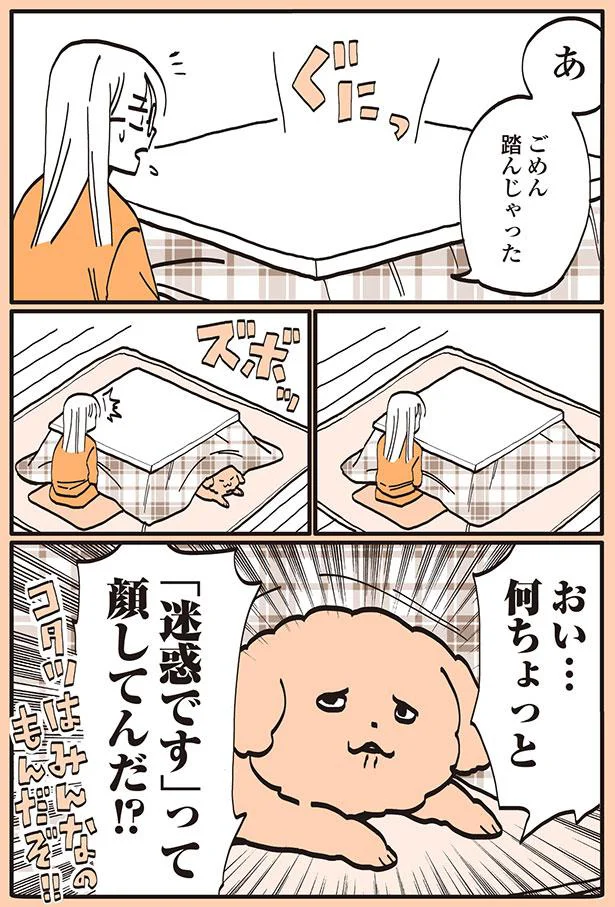 あ　ごめん　踏んじゃった