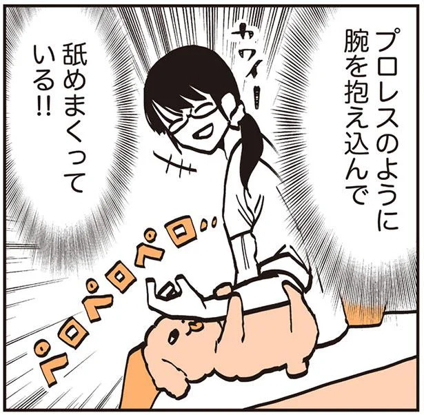 来客の腕を抱えてペロペロ。長年連れ添っても読みにくい犬の心理／うちのトイプーがアイドルすぎる。2（10）