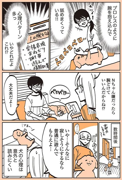 犬の心理は意外と読みにくい