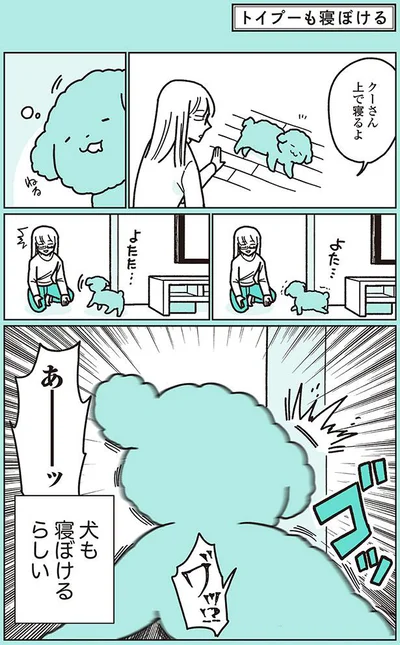 クーさん上で寝るよ