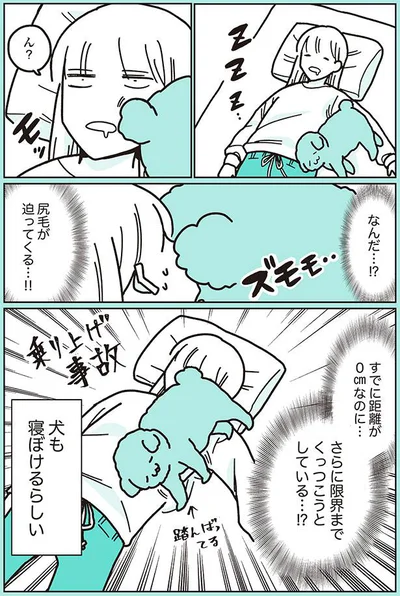 尻毛が迫ってくる…！！