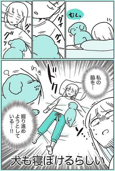 私の脇を…掘り進めようとしている…！！