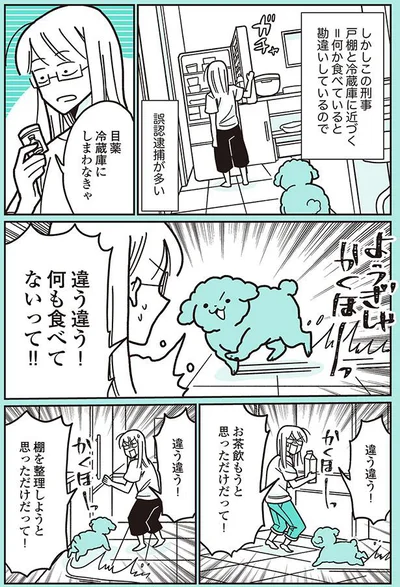 誤認逮捕が多い