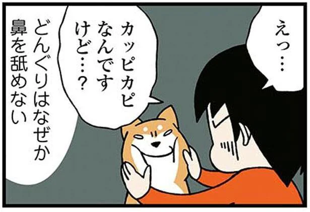 うちの犬は鼻をなめないのでカッピカピ！その解決策とは？／ドヤ顔柴犬どんぐり（2）