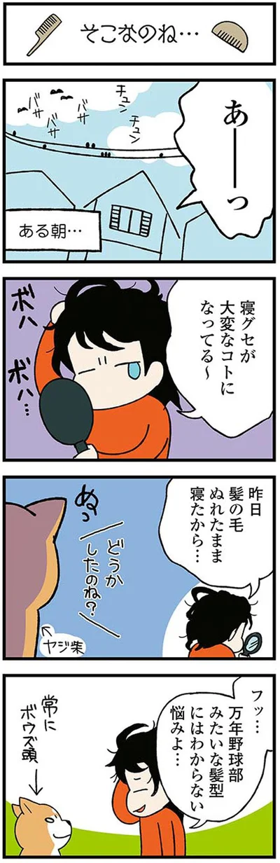 寝グセが大変なコトになってる～