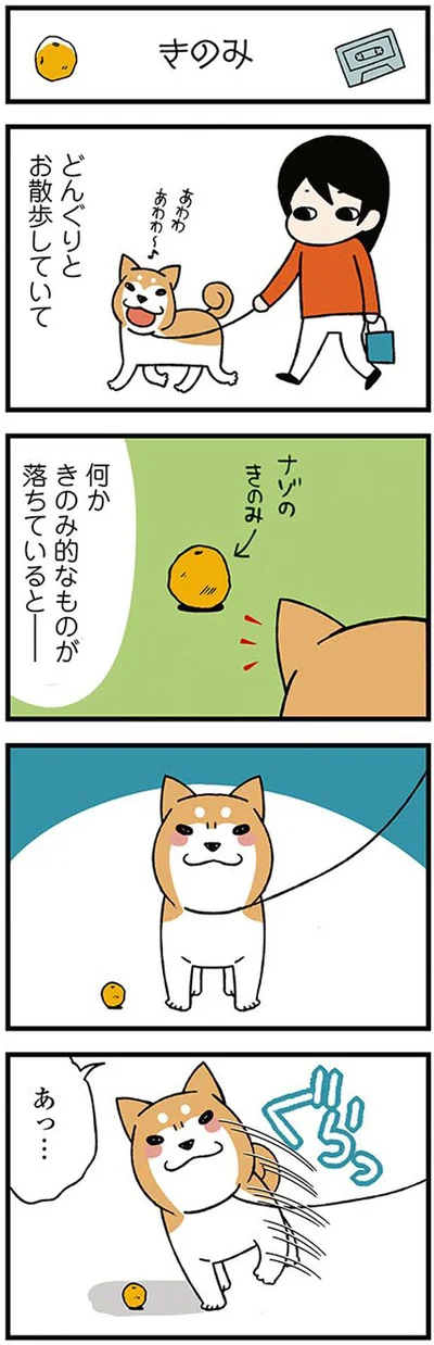 きのみ的なものが落ちていると…