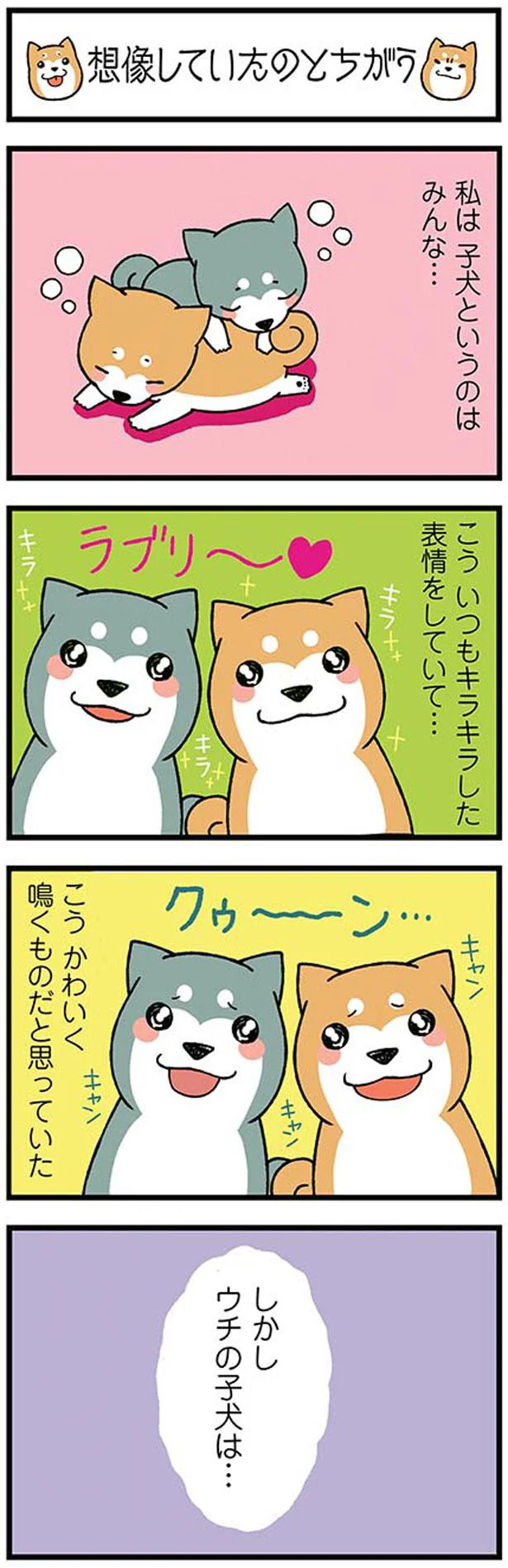 想像していた子犬