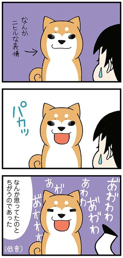 なんか思ってたのとちがう