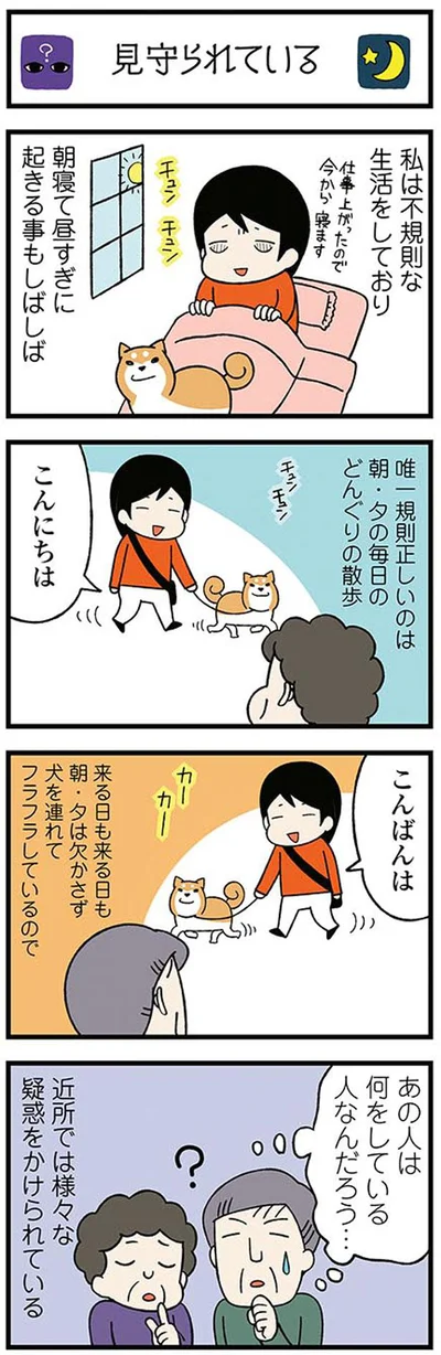 規則正しいのは毎日の散歩