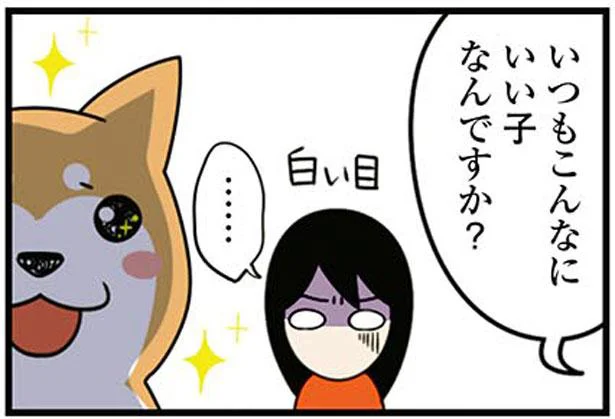 まさかの使い分け!?病院で態度を変えるうちの犬／ドヤ顔柴犬どんぐり（9）