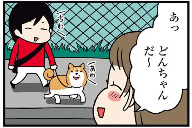 隣のおばあちゃんだけ独特!?ご近所さん別うちの犬の呼び方／ドヤ顔柴犬どんぐり2（3）