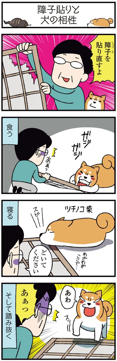 障子貼りと犬の相性