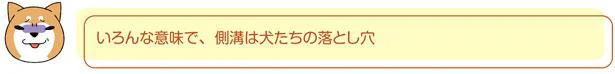 側溝は犬たちの落とし穴