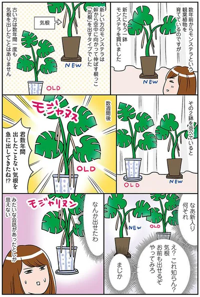 なんか出せたわ