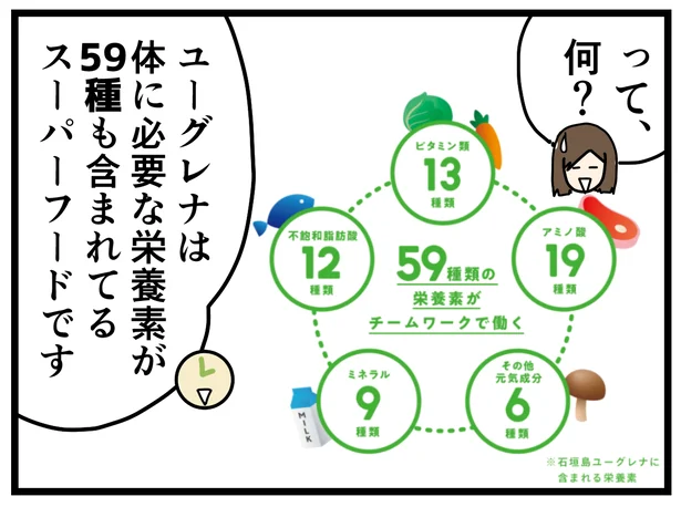 ユーグレナは体に必要な栄養素が59種類も含まれているスーパーフード