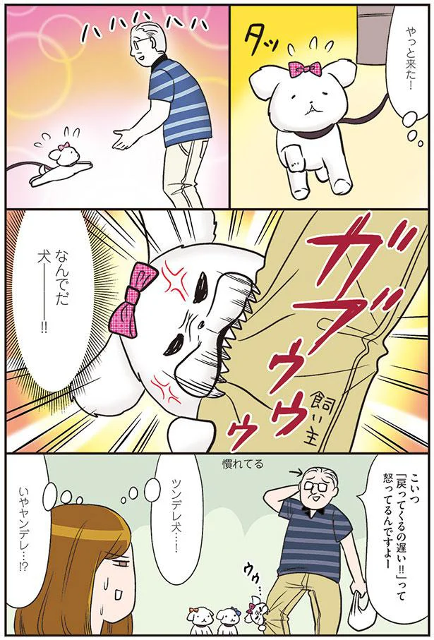 なんでだ犬ー！！