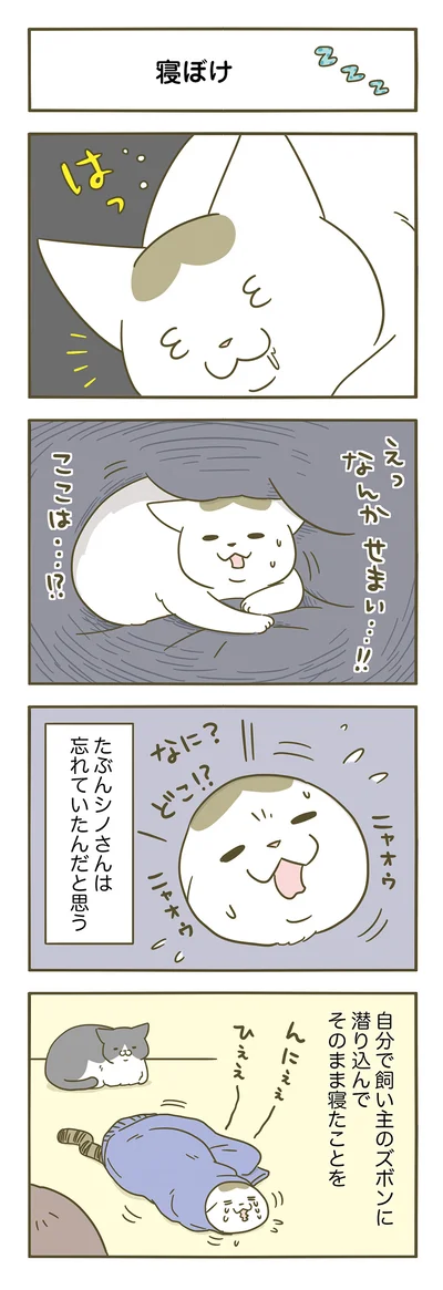 どこで寝たのか忘れてる！？