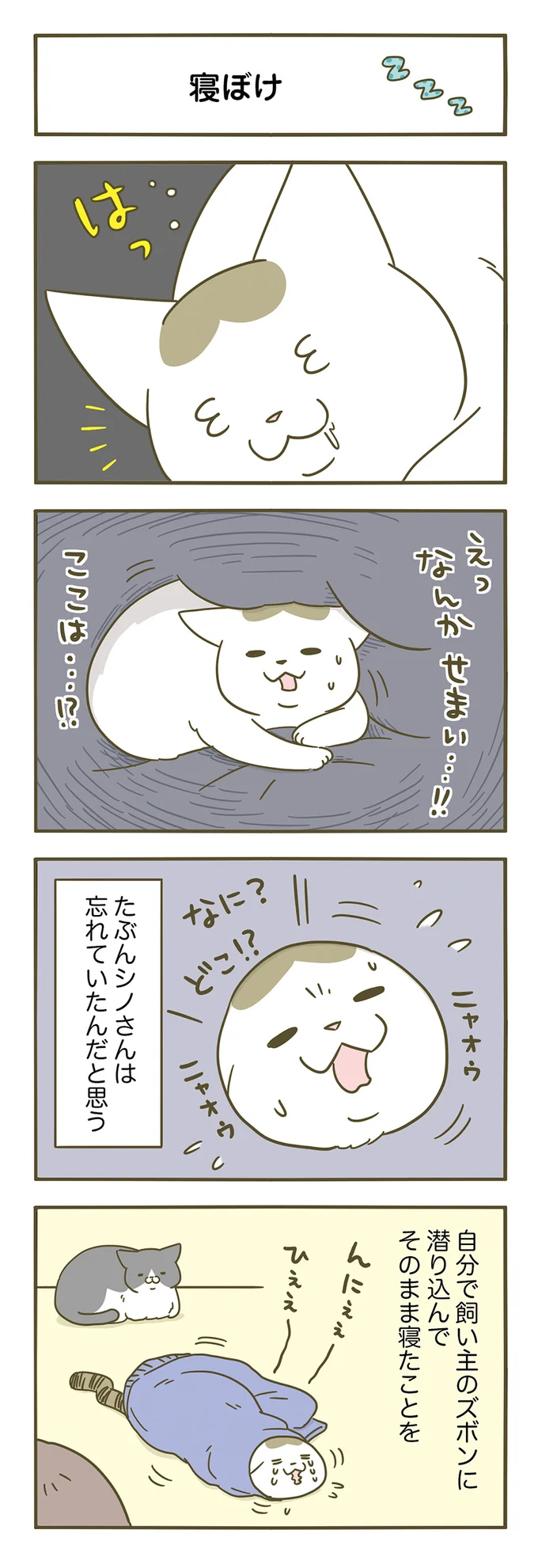 どこで寝たのか忘れてる！？