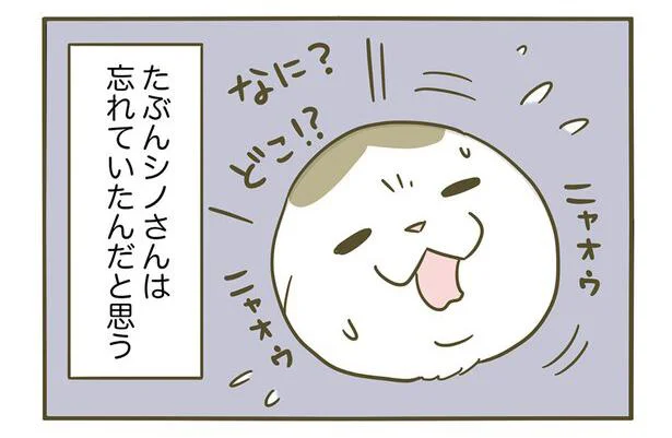 シノさんは忘れてるんだろうけど…