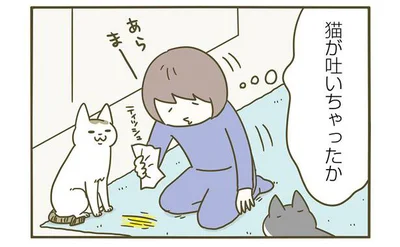 猫が吐いちゃったか…って違う？