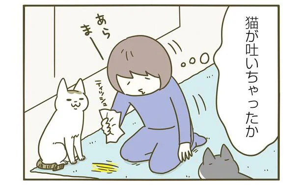 猫が吐いちゃったか…って違う？