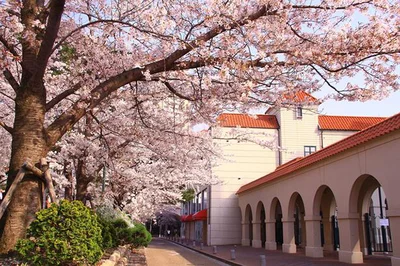 宝塚市・花のみち