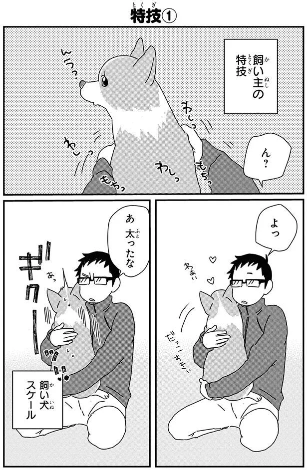 手加減してよー コーギーのパワーは見た目の10倍 あしょんでよッ うちの犬ログ 9 10 レタスクラブ