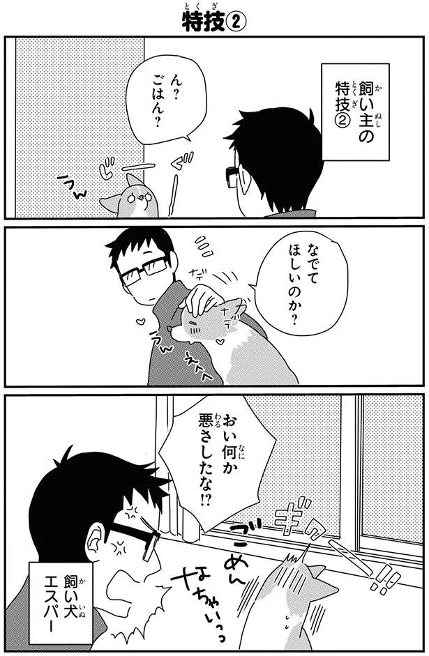 手加減してよー コーギーのパワーは見た目の10倍 あしょんでよッ うちの犬ログ 9 10 レタスクラブ