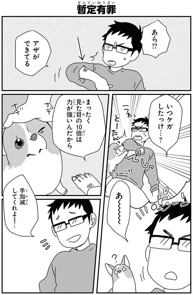 手加減してよー コーギーのパワーは見た目の10倍 あしょんでよッ うちの犬ログ 9 10 レタスクラブ