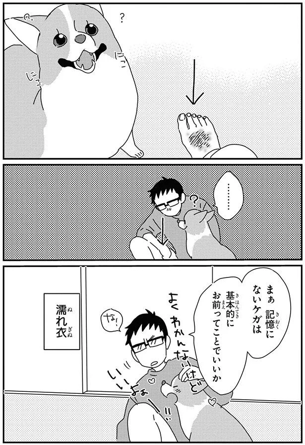 手加減してよー コーギーのパワーは見た目の10倍 あしょんでよッ うちの犬ログ 9 10 レタスクラブ